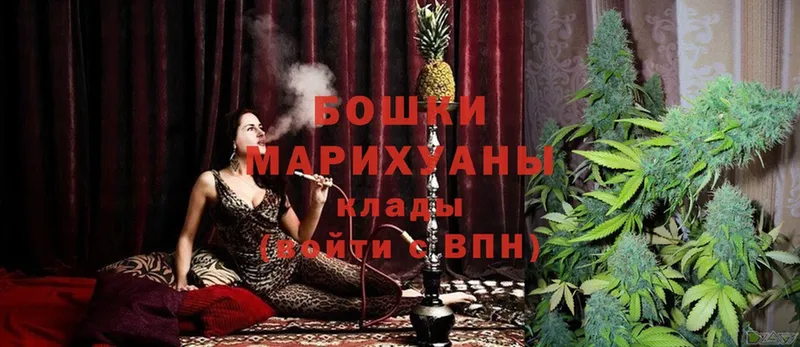 магазин продажи наркотиков  blacksprut сайт  Бошки марихуана Ganja  Пушкино 